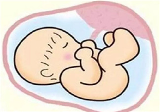 孕晚期胎的原因有哪些 孕晚期如何预防胎膜早破