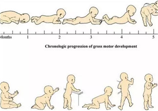 宝宝脊柱成型的关键时期有哪些 哪些行为会伤害宝宝脊柱